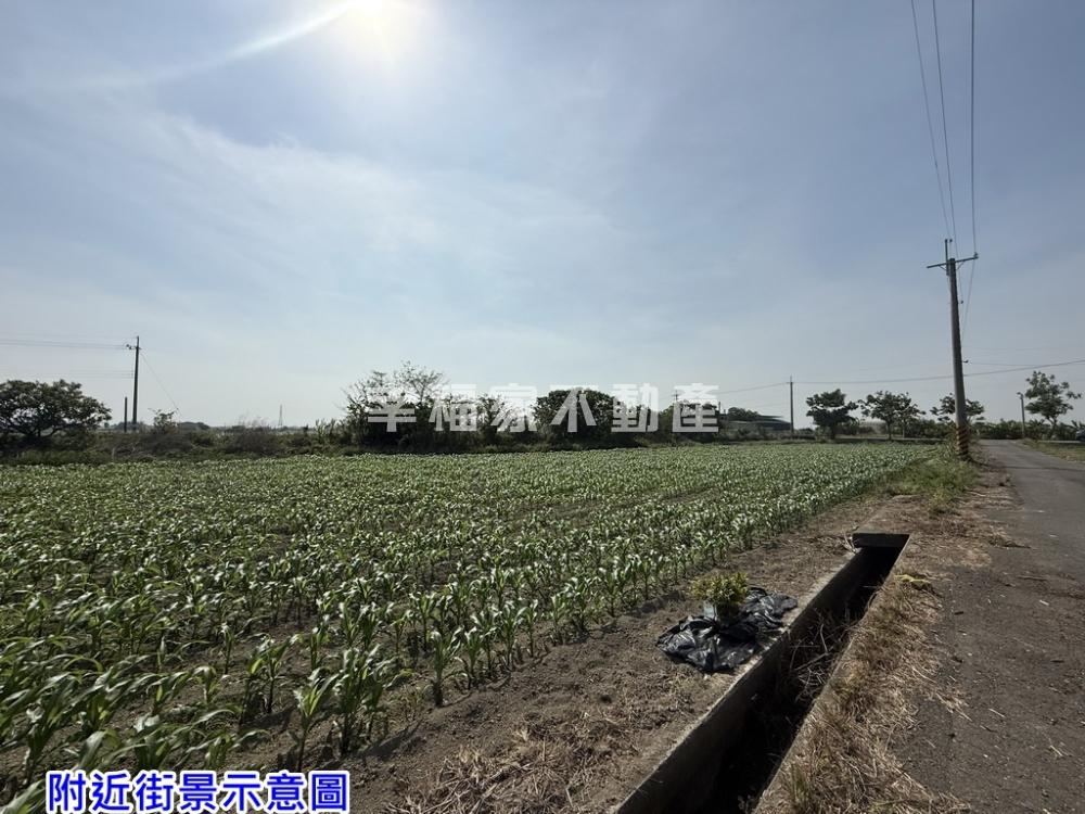 鹽水番子厝大面寬美農
