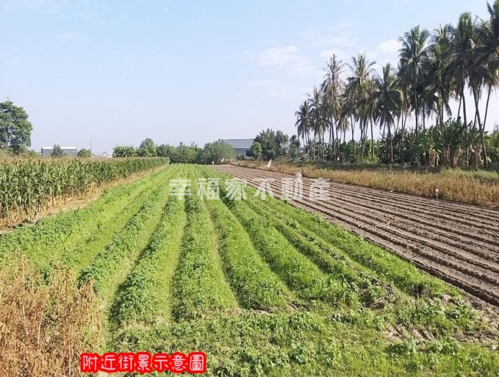 安定新吉4分一般農美農地