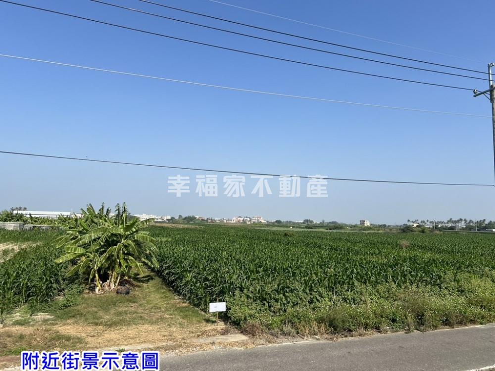 佳里塭子內1.9分美田