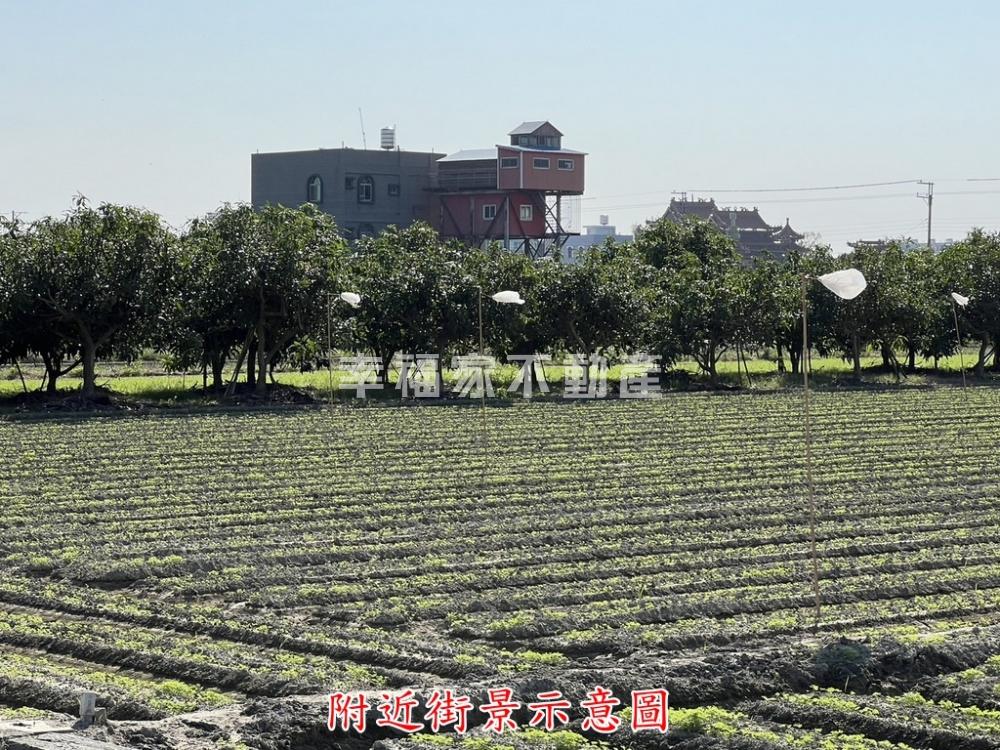 佳里興佳化段松柏農地