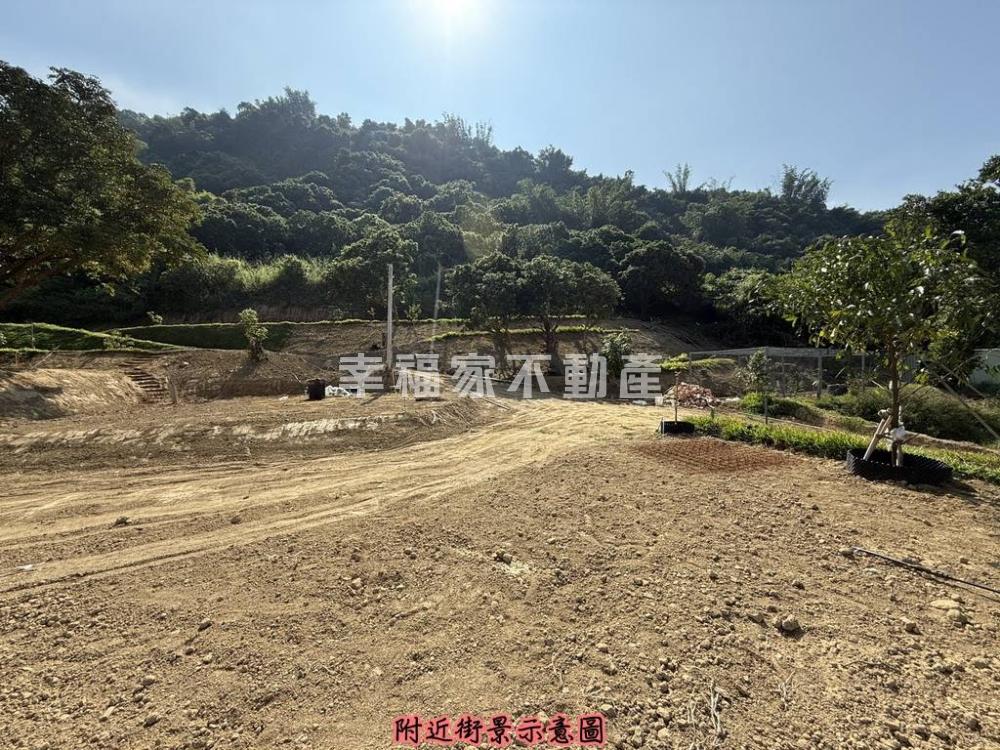 楠西771.38坪農地