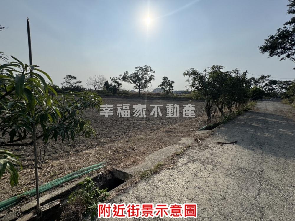 急售!麻豆便宜大面寬一般農
