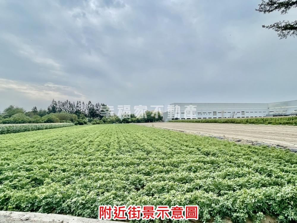 善化晶讚大坪數特農