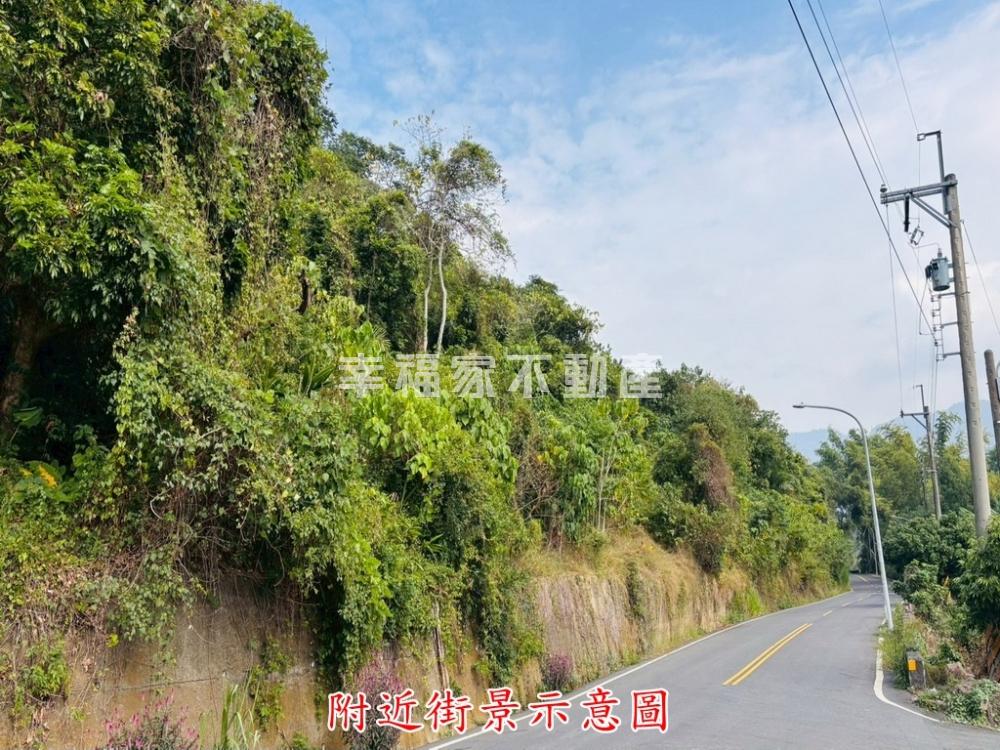 東山高原臨路1.4公頃農地