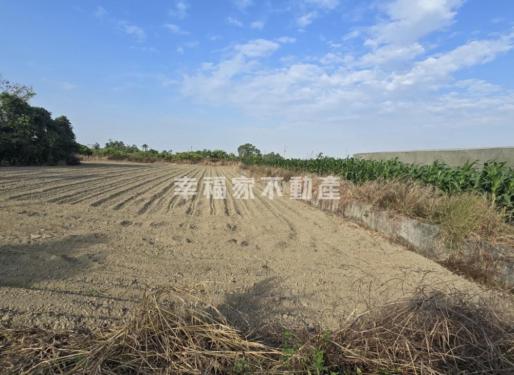 東山許秀才341坪特農