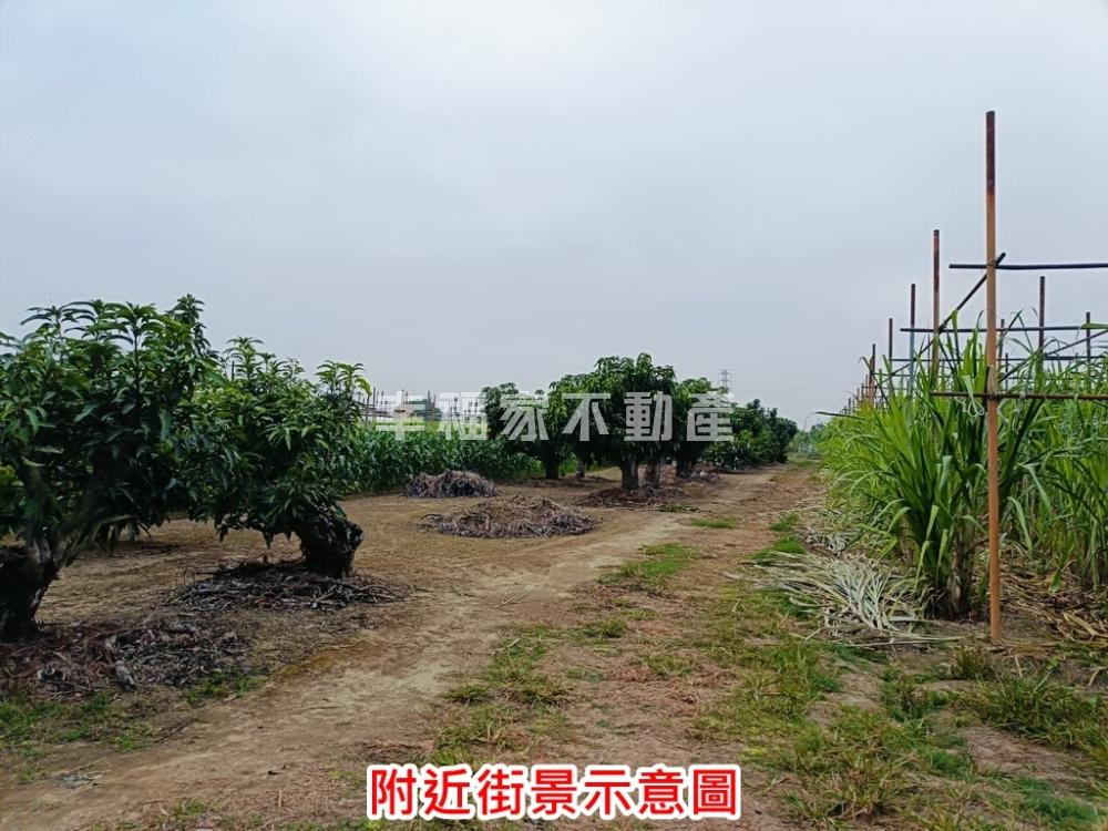 山上區千坪有電一般農-持分