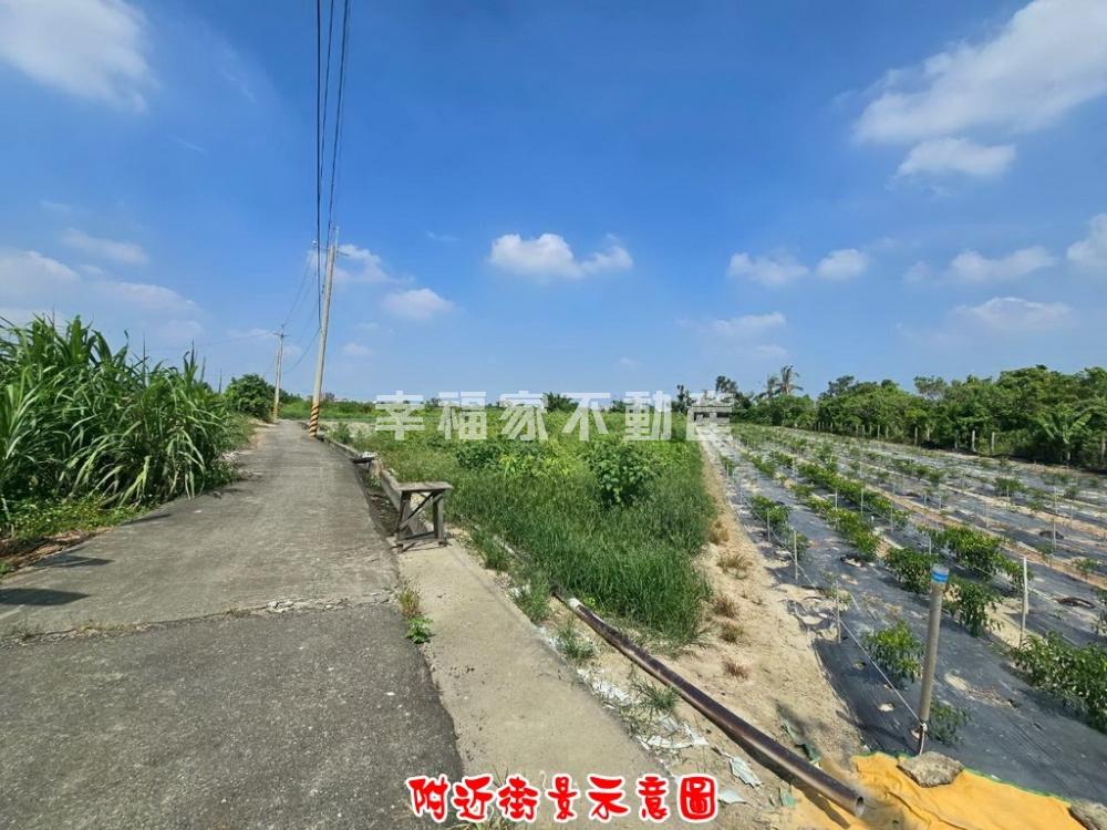 新營交流道茄苳腳☆潛力都農