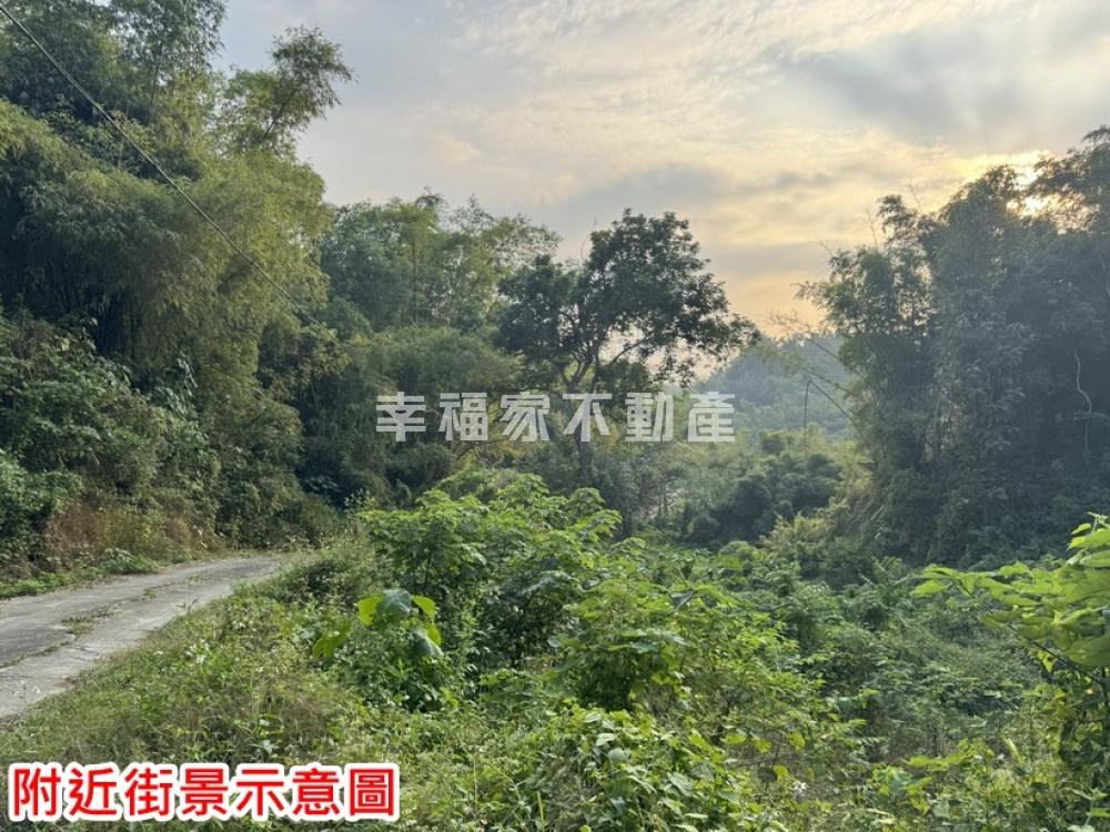 龍崎3456農牧用地-2