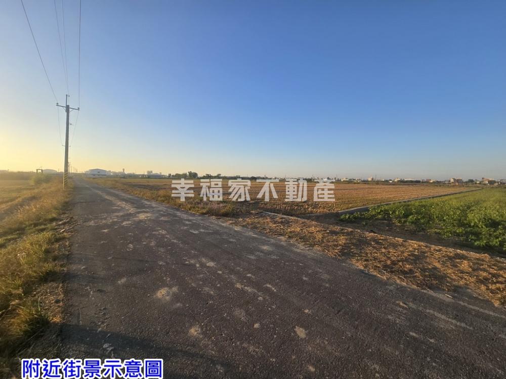 柳營大脚腿1.7分美田