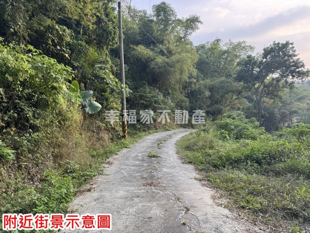 龍崎3456農牧用地-1