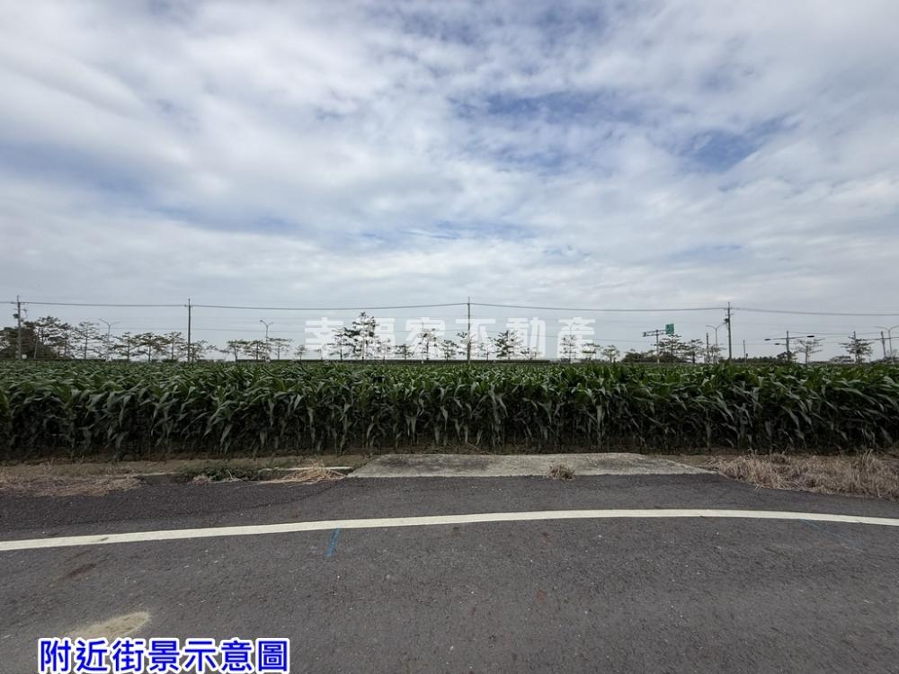 鹽水鄰台一線漂亮美農