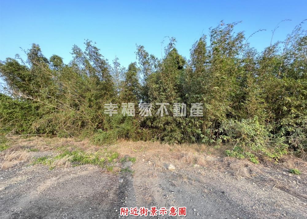 超值阿蓮土庫漂亮農地