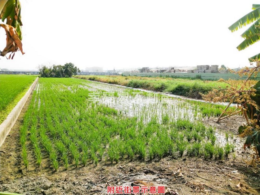 近高鐵深綠線捷運計畫旁美地