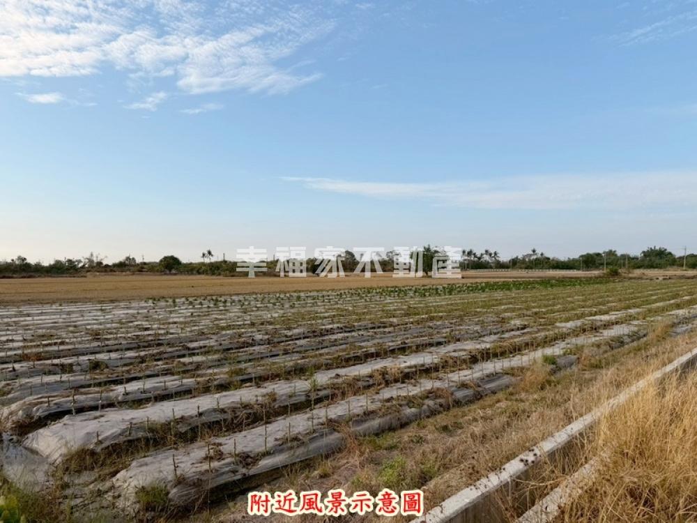 白河三面臨路出價談4分農地