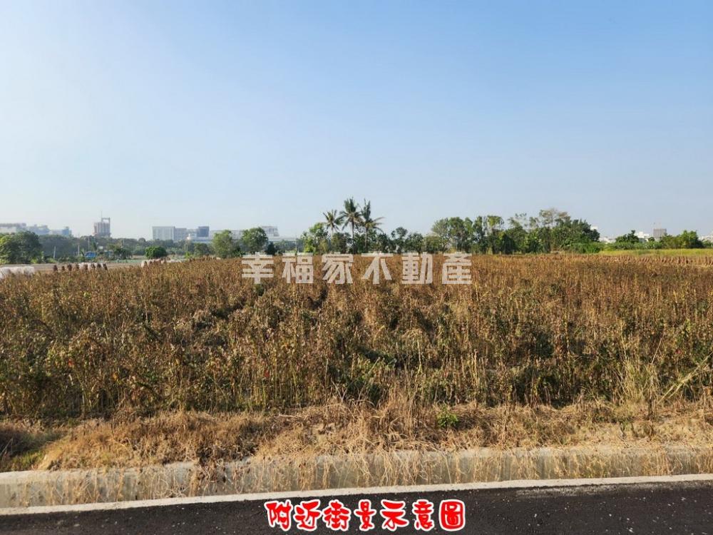 善化南科旁臨路方正農地