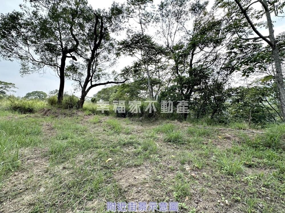 楠西地勢平坦好利用農地