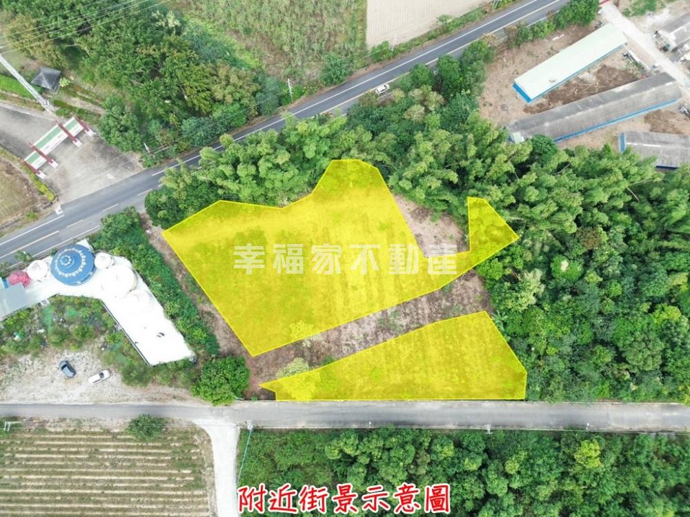 新市大社175線旁一般農