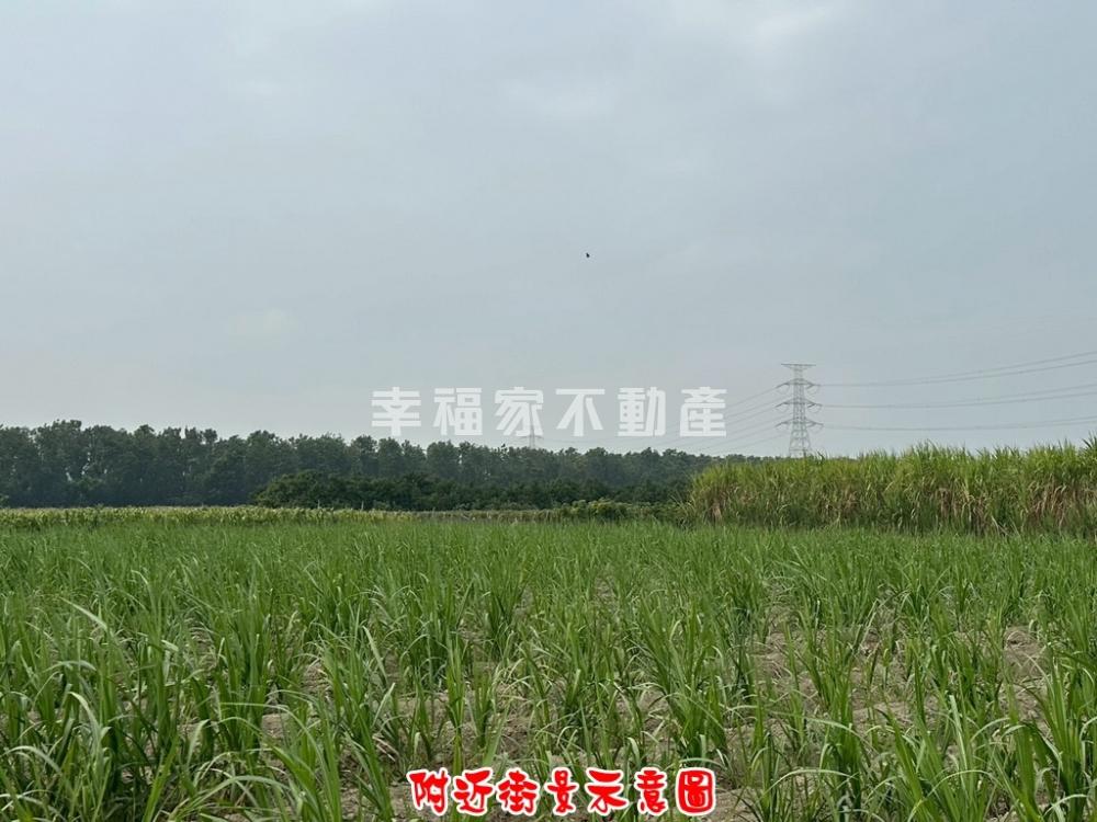 近麻善大橋六分段3分一般農