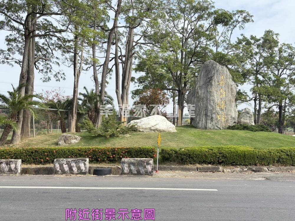 嘉南球場旁芒果園