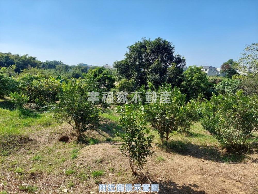 關廟住宅區旁363便宜都農