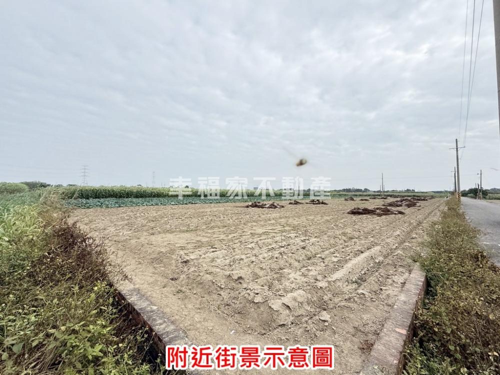 善化東勢寮2分雙臨路一般農