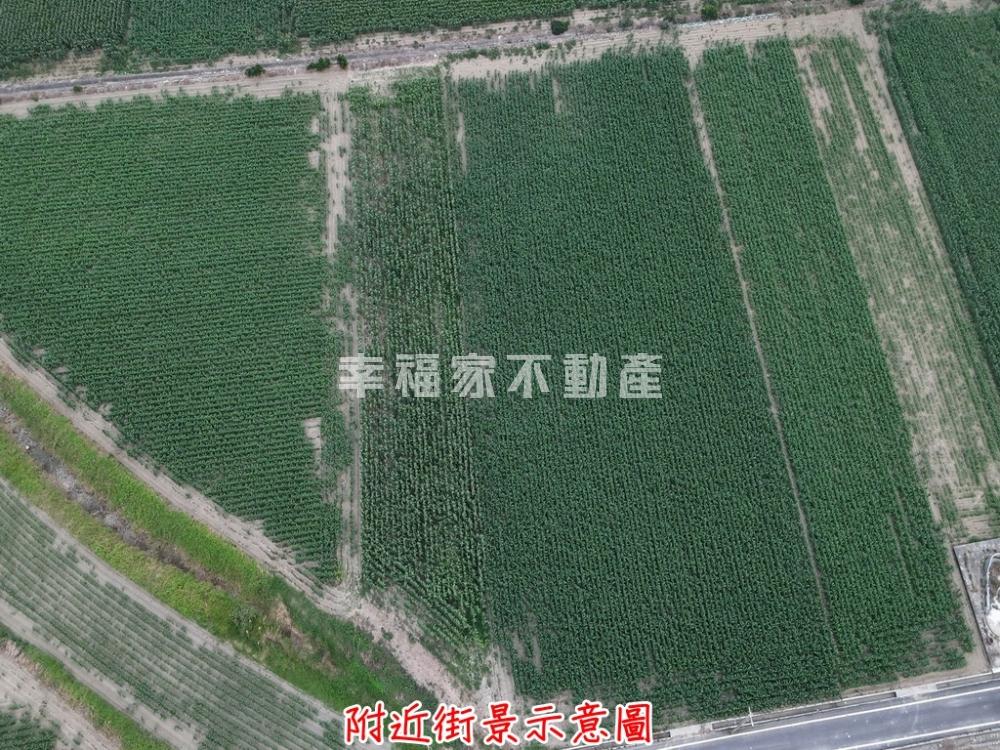 鹽水天保厝方正農保地