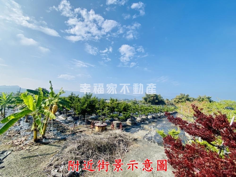 楠西設備完善農地