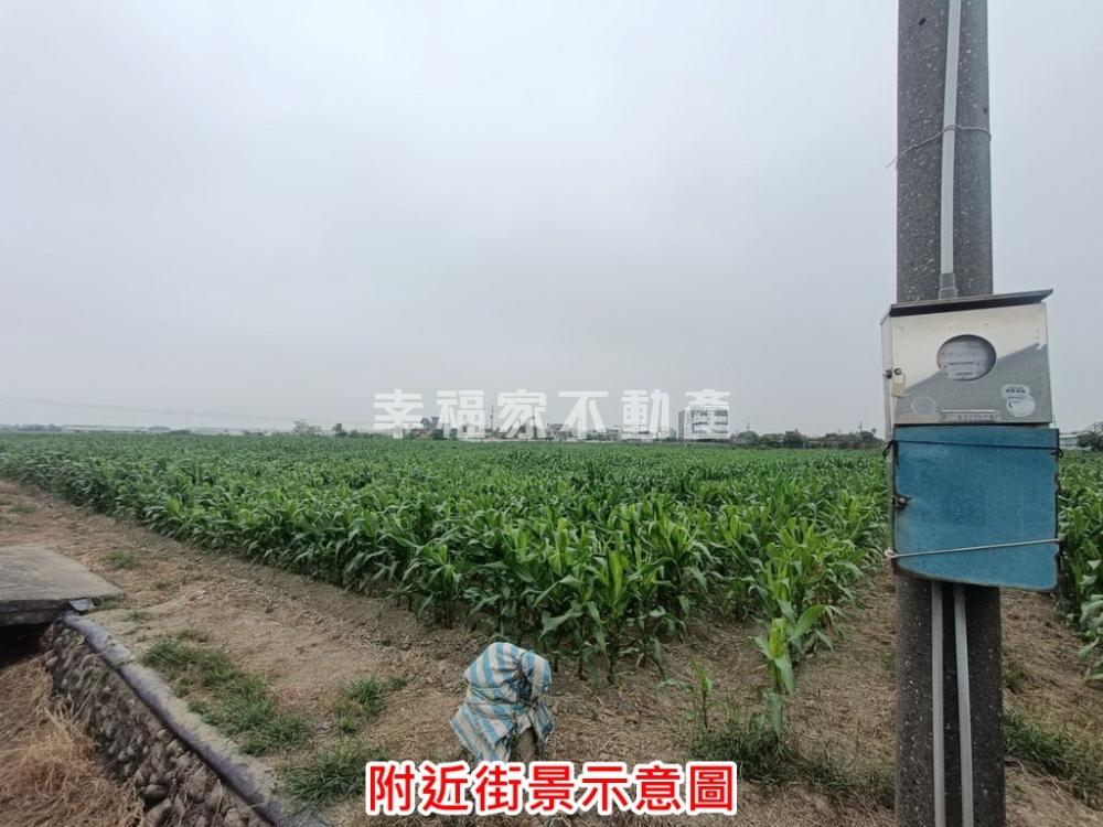 安定交流道旁方正農地