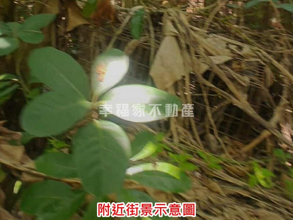 佳里九龍建地