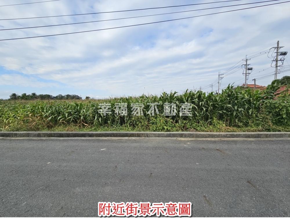 將軍巷口庄邊2.1分農地