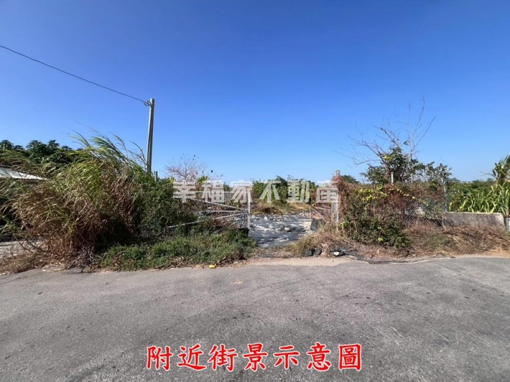 專-安南206坪都內農地