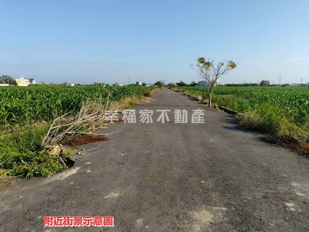 鹽水番子厝段重劃農地