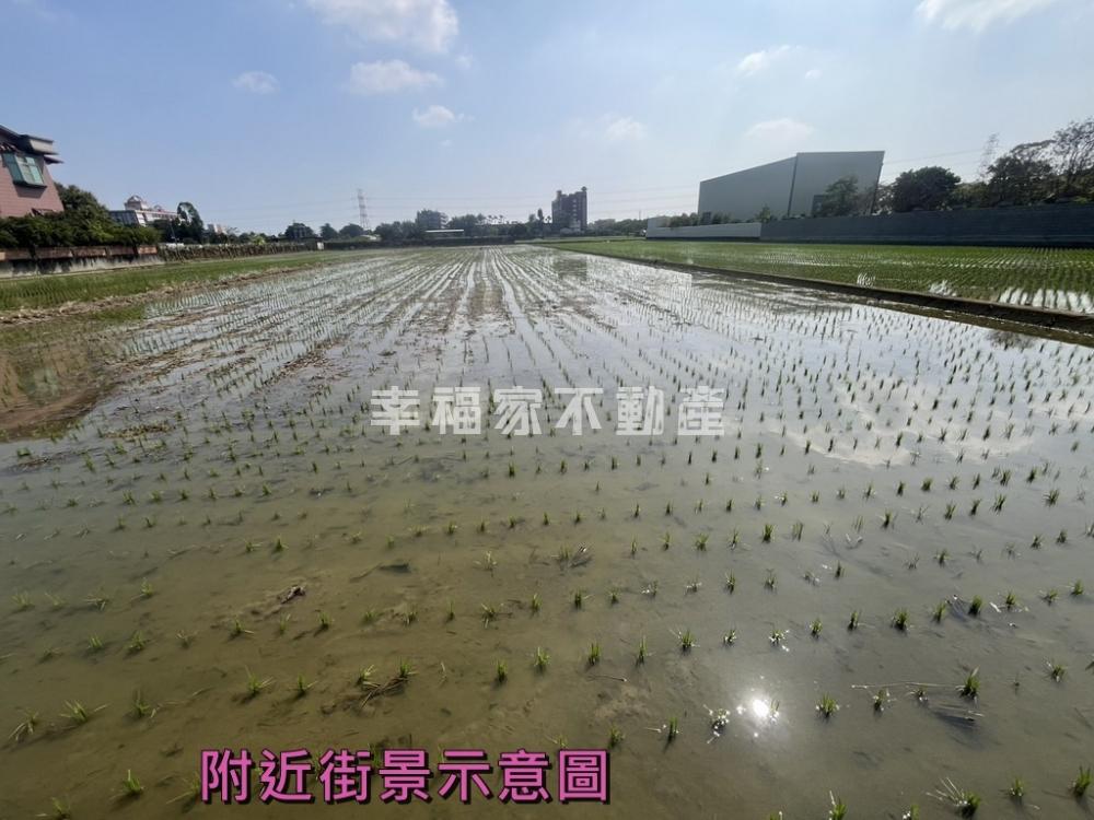 決心賣近柳營台一線旁特農