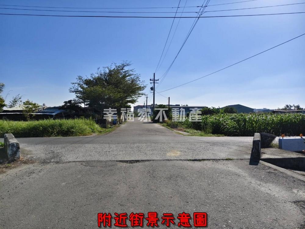 近南科有水電6米路果園農地
