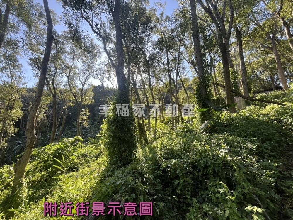 台中石岡樟木森林休閒農地