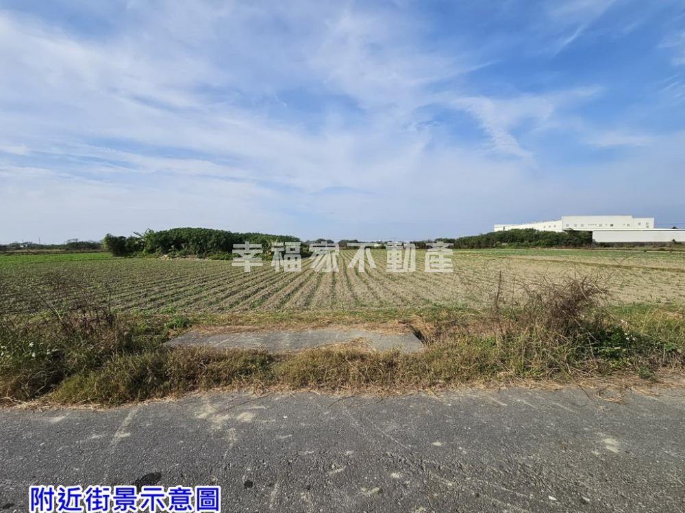 學甲大面寬農地
