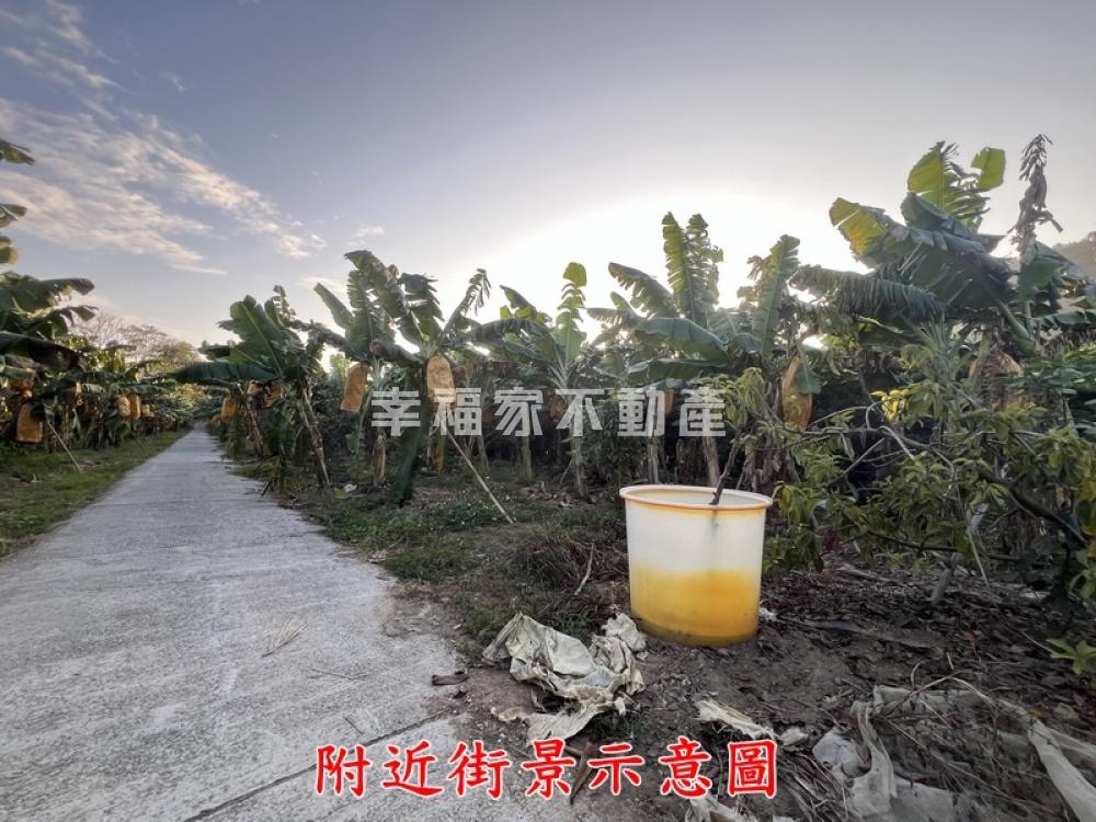 東山東原香蕉園平坦農地