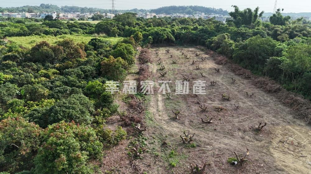 新化𦰡拔林有水有電一般農