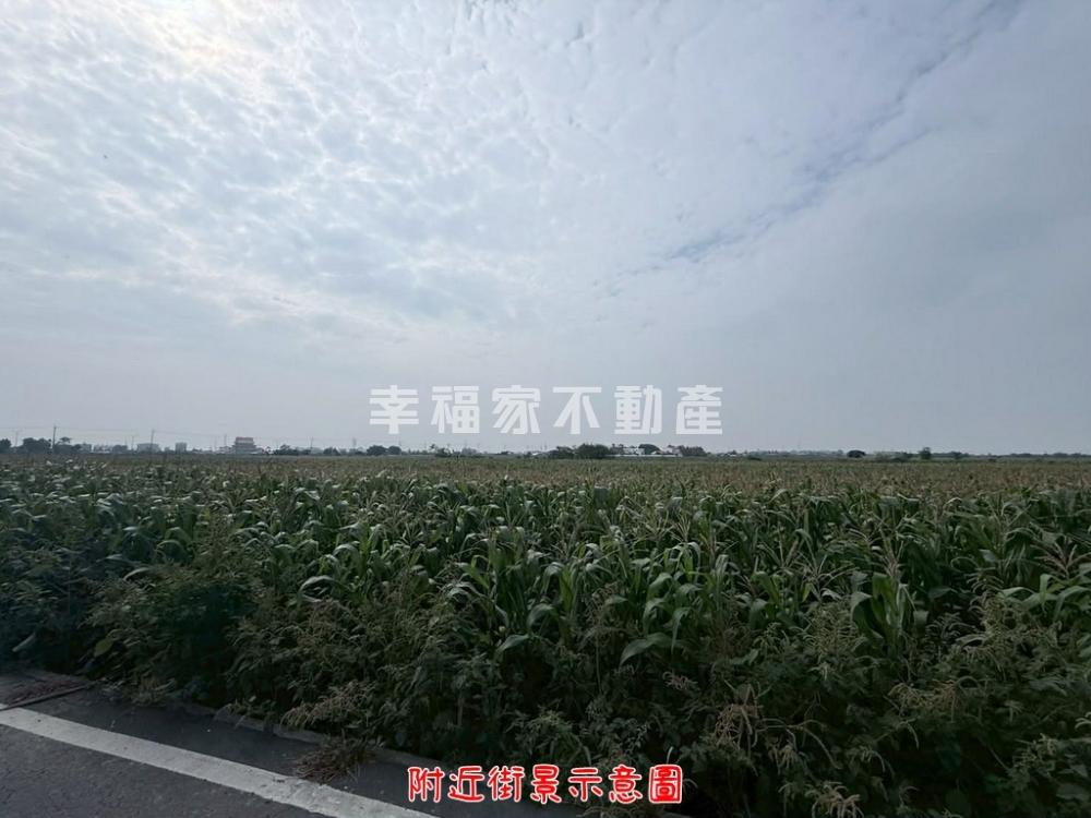 專．鹽水低總價農保美地
