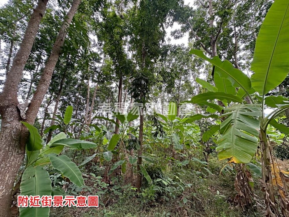 南化5.13分農保山坡地