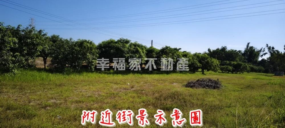 近國8新化交流道美農地