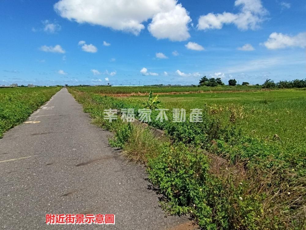將軍双面有路好田