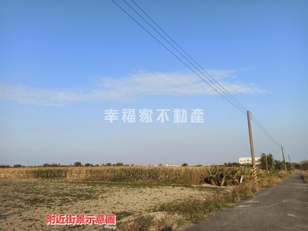 佳里工業區西邊好田