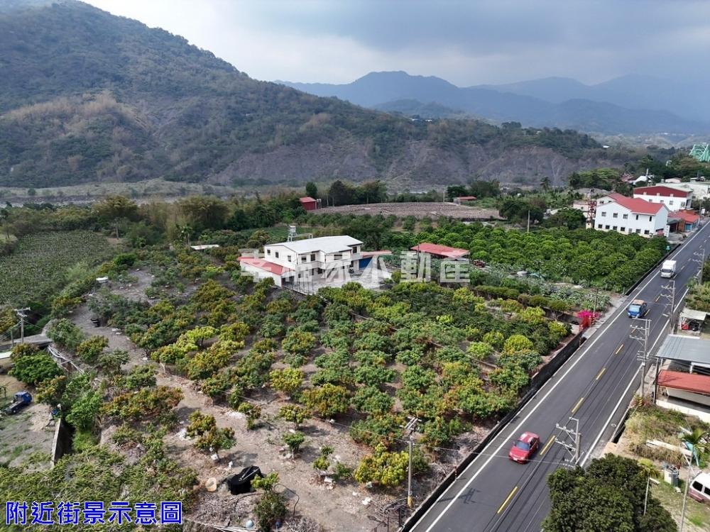六龜和平路119坪便宜農地