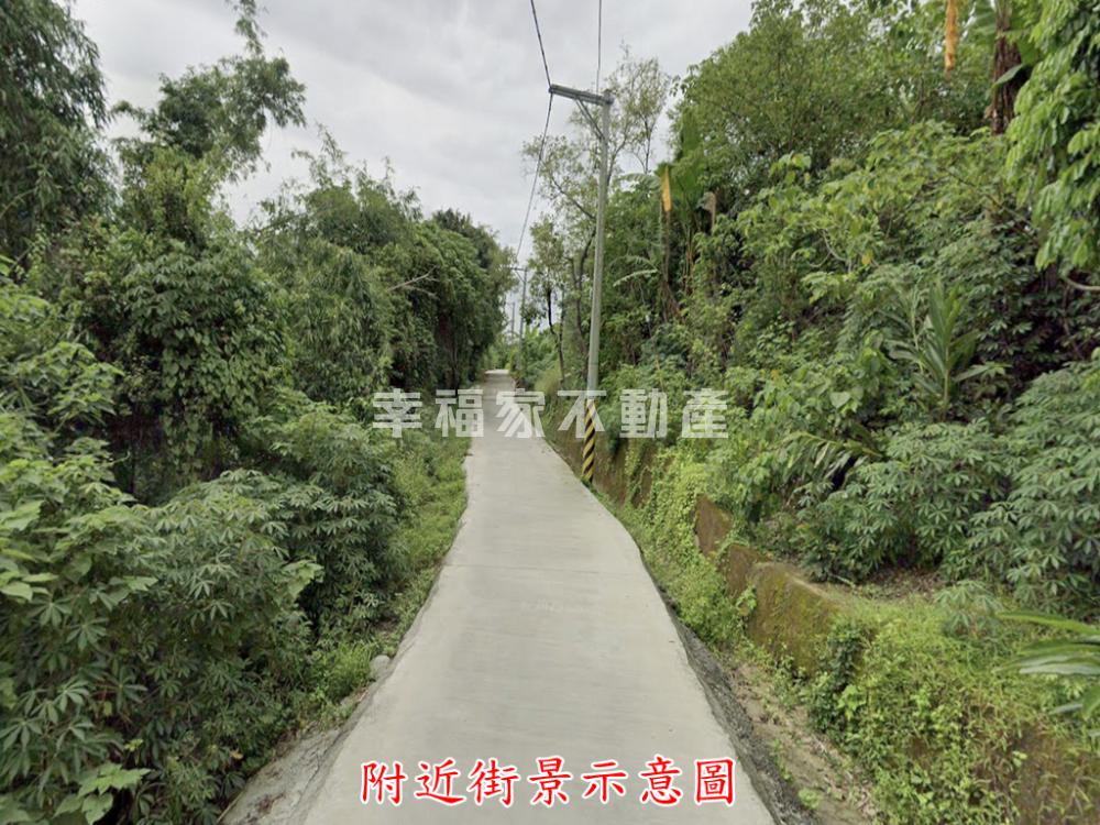 左鎮內庄子2.9分農地