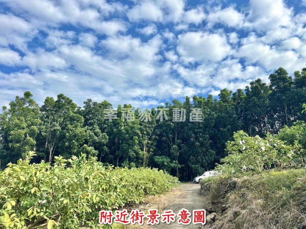 桃花心玉井