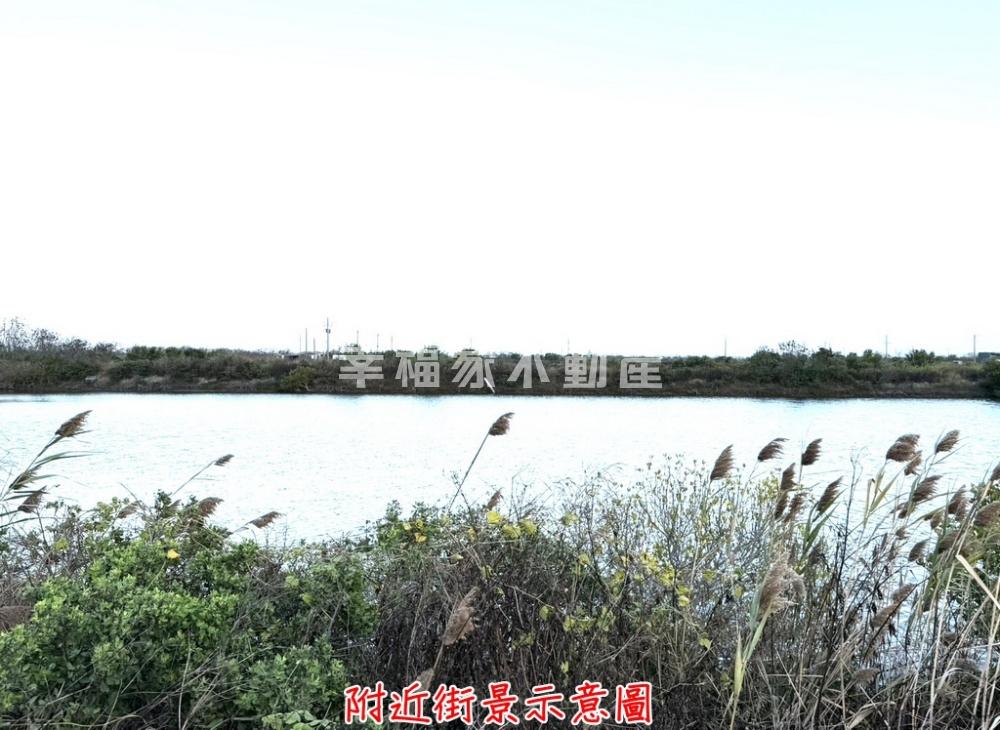 專-七股區可種光電魚塭