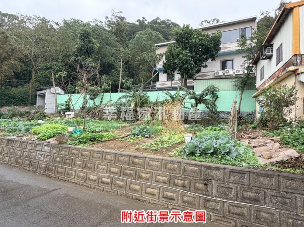 新竹臨路342大面寬美農地
