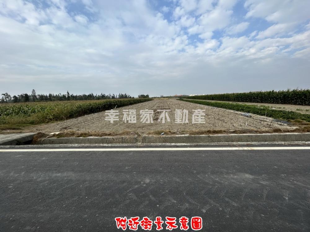 竹橋國小旁方正美農田