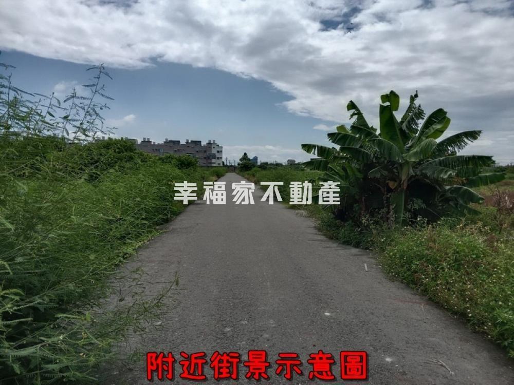 七股必買雙面臨路美農地